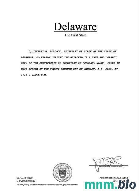 Certyfikat rejestracyjny USA Delaware Word i szablon PDF